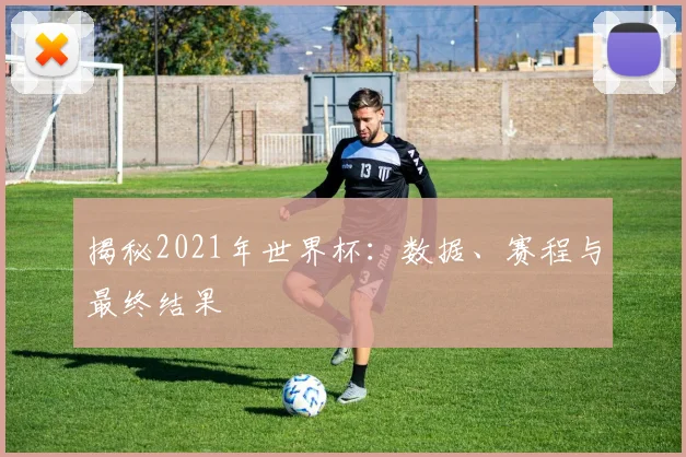揭秘2021年世界杯：数据、赛程与最终结果