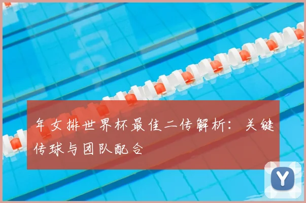 年女排世界杯最佳二传解析：关键传球与团队配合