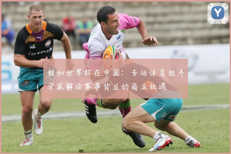 假如世界杯在中国：专访体育经济学家解读赛事背后的商业机遇