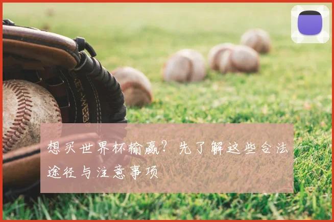 想买世界杯输赢?先了解这些合法途径与注意事项