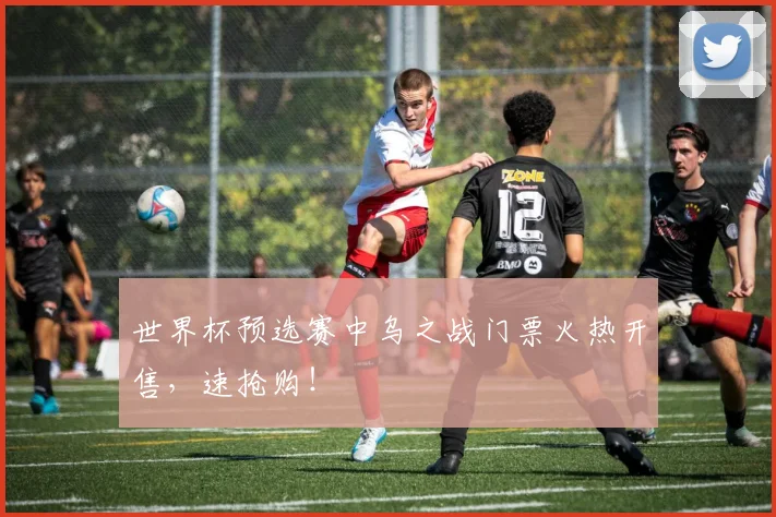 世界杯预选赛中乌之战门票火热开售，速抢购！