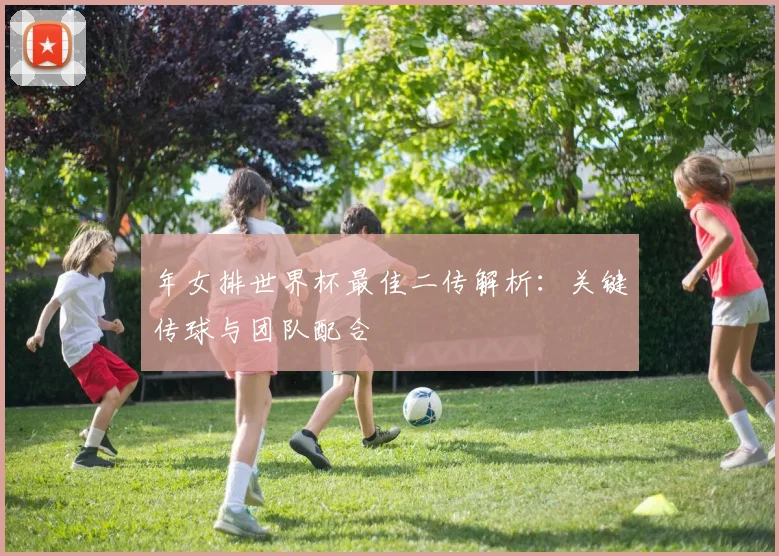 年女排世界杯最佳二传解析:关键传球与团队配合