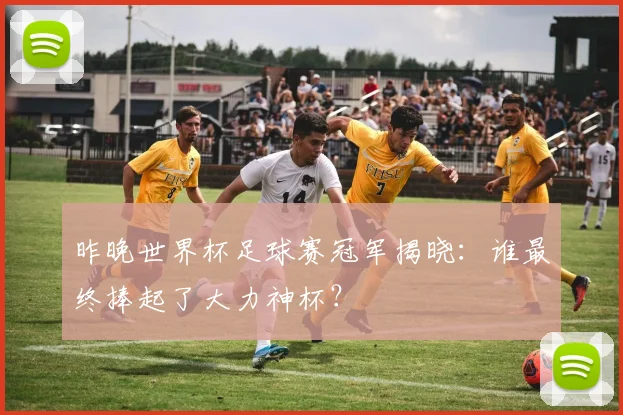 昨晚世界杯足球赛冠军揭晓：谁最终捧起了大力神杯？