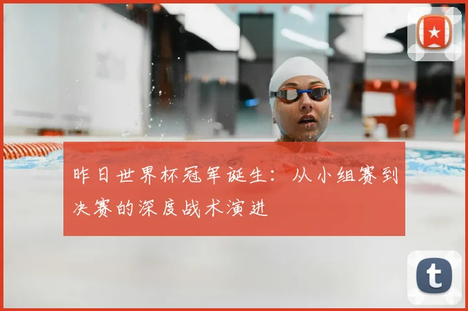 昨日世界杯冠军诞生：从小组赛到决赛的深度战术演进